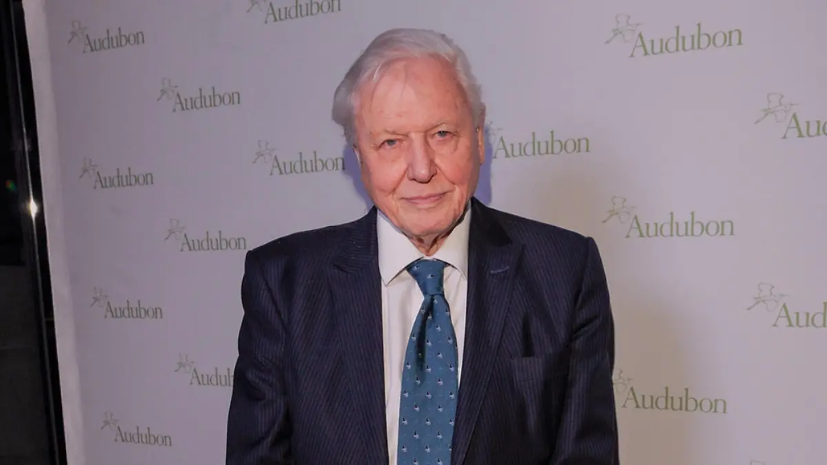 Nach seinem Rekord: Sir David Attenborough hat Instagram verlassen