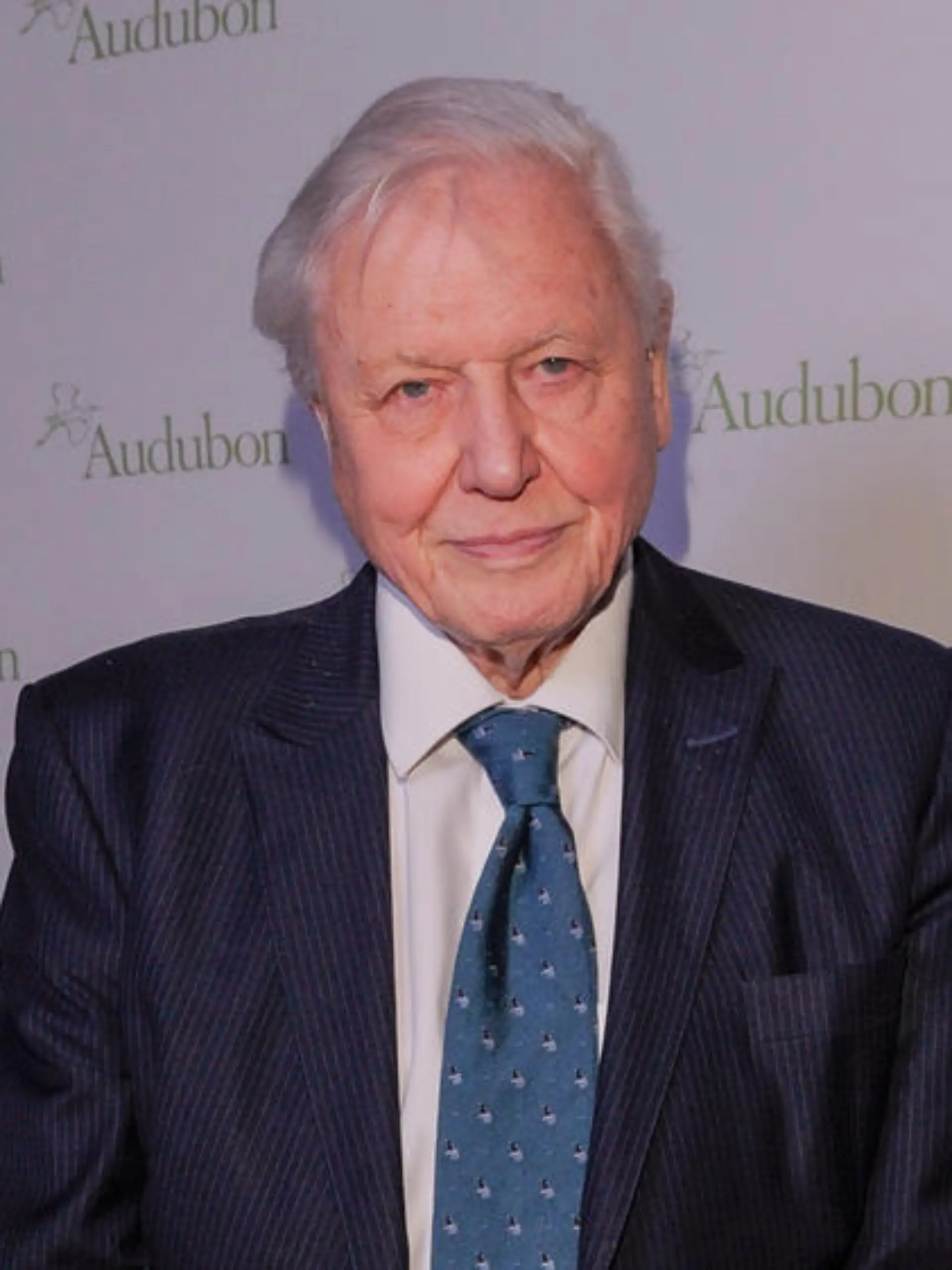 Nach seinem Rekord: Sir David Attenborough hat Instagram verlassen