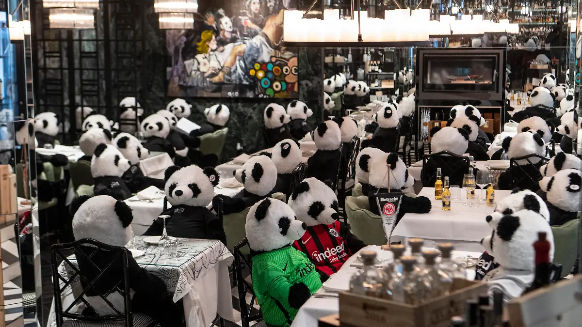 Panda, Plüschtier, Restaurant, Lockdown, Pino, Frankfurt