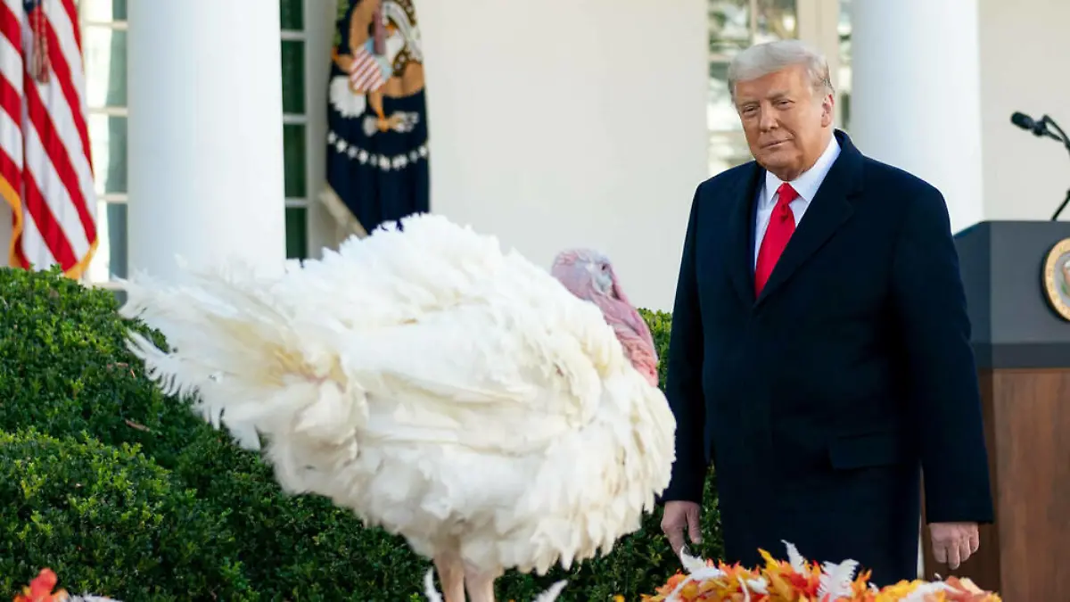 Donald Trump begnadigt seinen letzten Truthahn