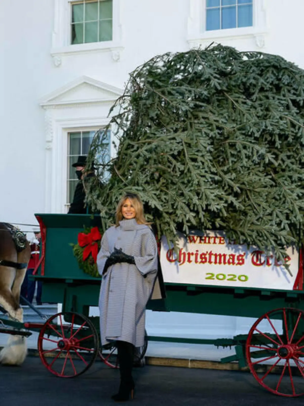 Melania Trump nimmt Weihnachtsbaum für Weißes Haus in Empfang