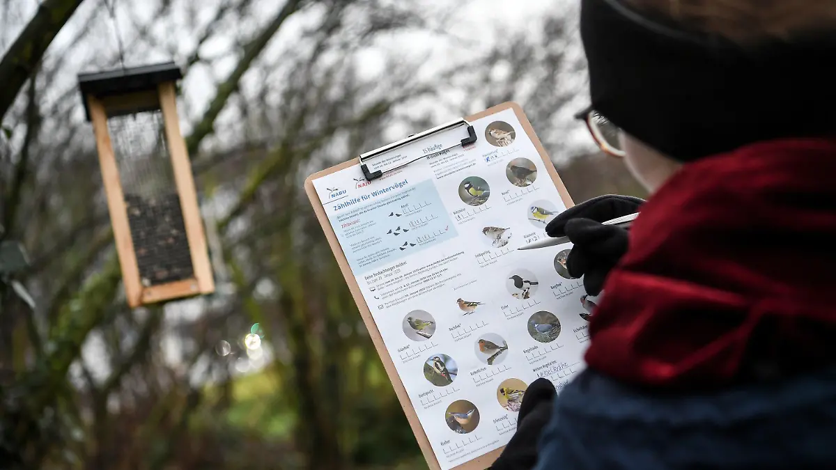 ARCHIV - 10.01.2020, Berlin: Eine junge Frau registriert bei der Vogelzählung "Stunde der Wintervögel" des Nabu (Naturschutzbund Deutschland) die Vögel an einem Futterplatz. (zu "Umweltvereine erleben stärkeren Zulauf") Foto: Britta Pedersen/dpa-Zentralbild/dpa +++ dpa-Bildfunk +++