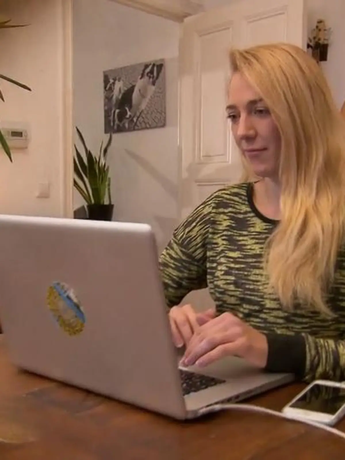 Bild zu: "Online-Cashback: So gibts beim Shoppen Geld zurück!"