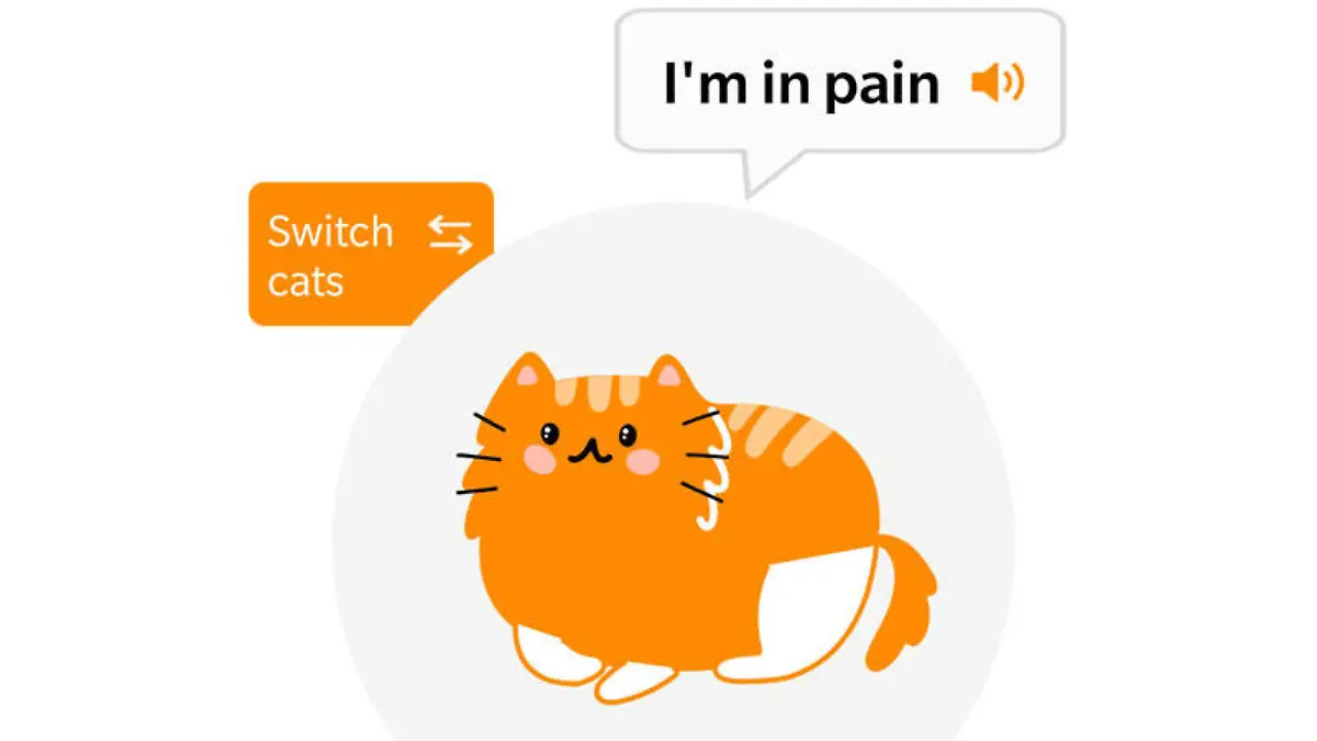 Kann die App erkennen, ob ein Mensch miaut oder eine Katze?
