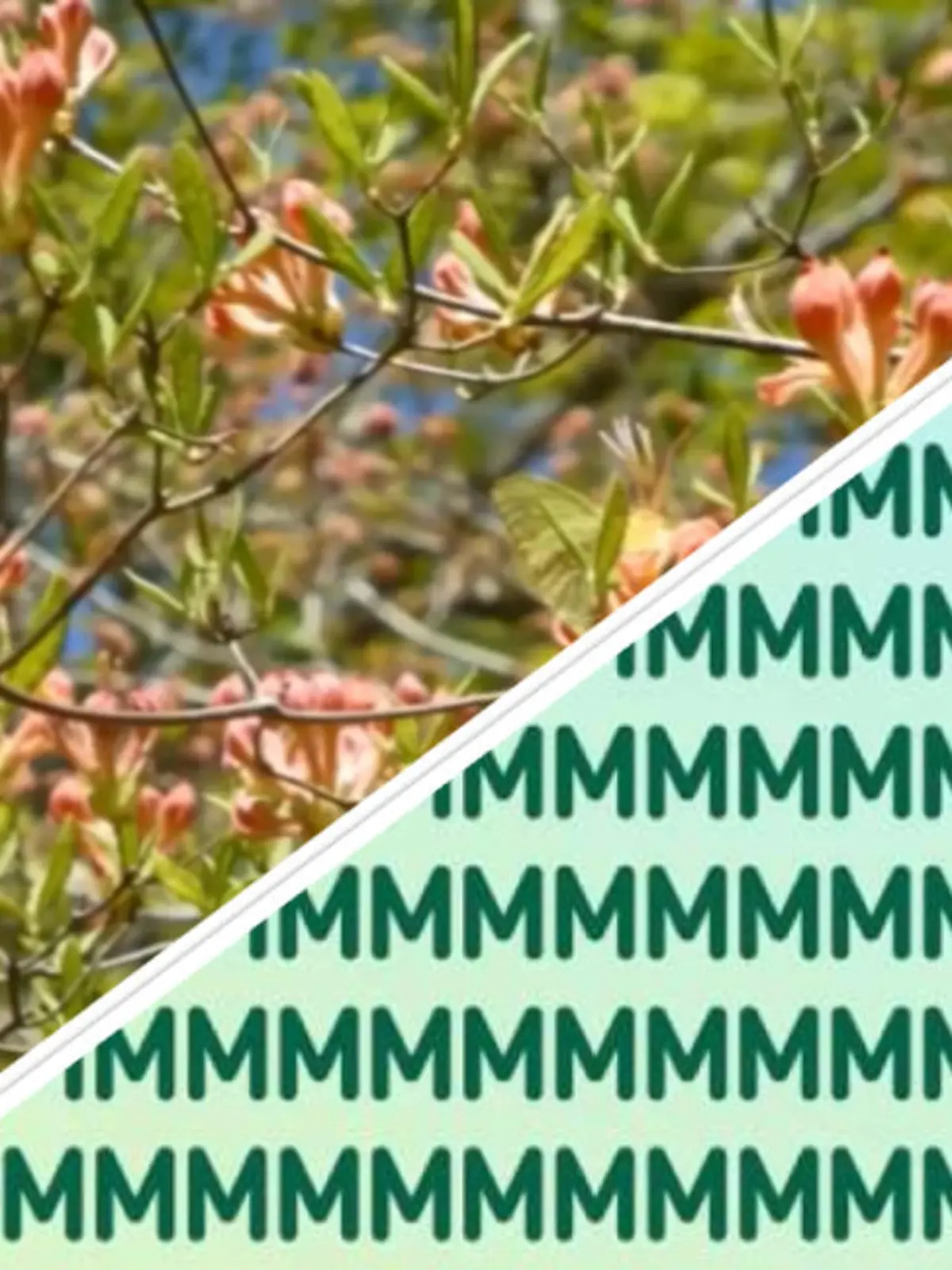 Splitscreen Wimmelbilder