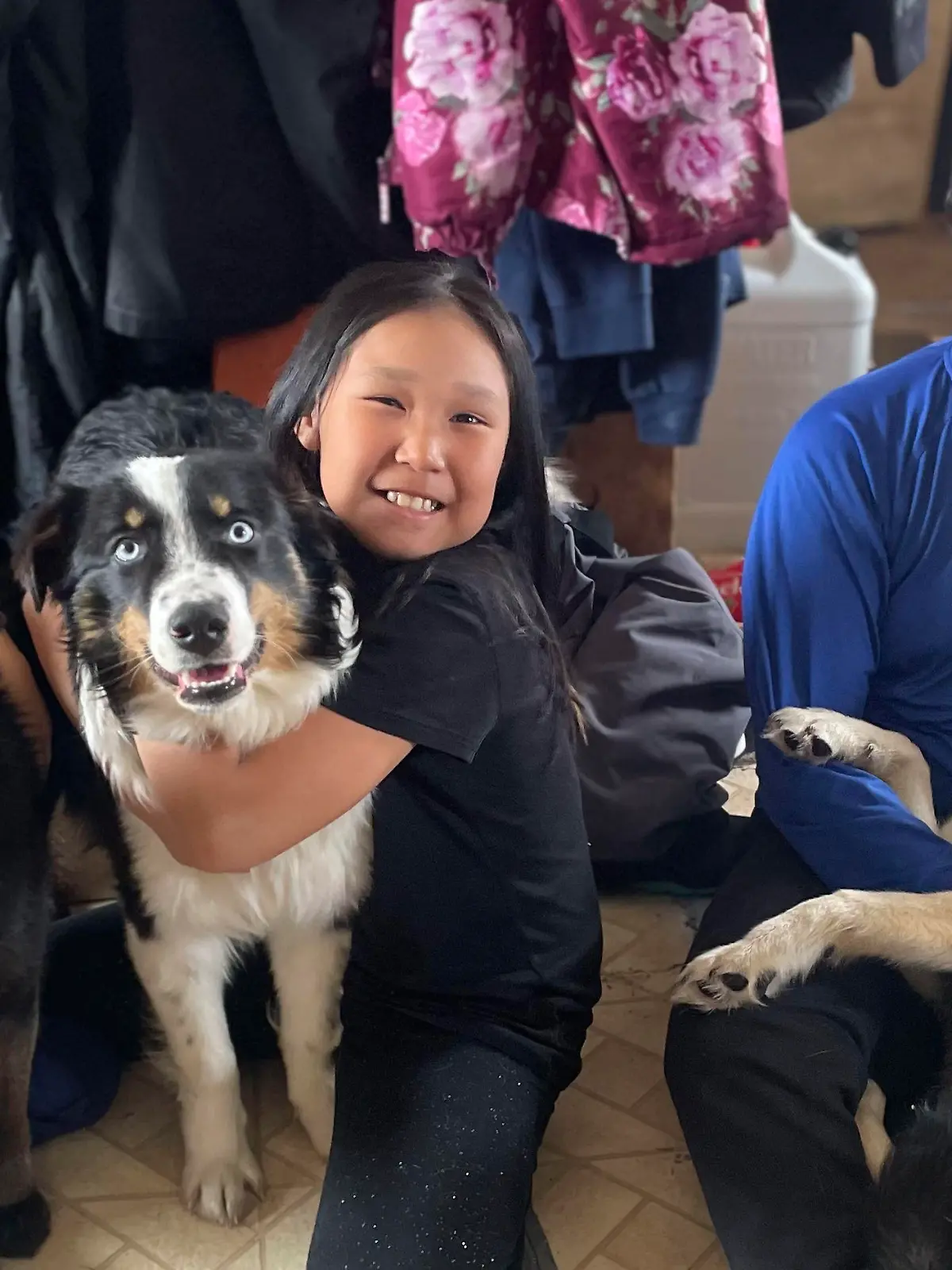 HANDOUT - 06.04.2023, USA, Gambell: Auf diesem von Mandy Iworrigan zur Verfügung gestellten Foto ist Nanuq (M) zu sehen, nachdem der einjährige australische Schäferhund nach Gambell in Alaska zurückgebracht wurde. Im US-Bundesstaat Alaska ist ein Hund verschwunden, rund 240 Kilometer über Meereis gelaufen und hat es dann - abgesehen von zwei Bisswunden - einen Monat später wohlbehalten zurück zu seiner Familie geschafft. (zu dpa «USA: Hund läuft 240 Kilometer über Meereis - und kehrt munter zurück») Foto: Mandy Iworrigan/AP/dpa - ACHTUNG: Nur zur redaktionellen Verwendung bis zum 26.04.2023 im Zusammenhang mit der aktuellen Berichterstattung und nur mit vollständiger Nennung des vorstehenden Credits +++ dpa-Bildfunk +++