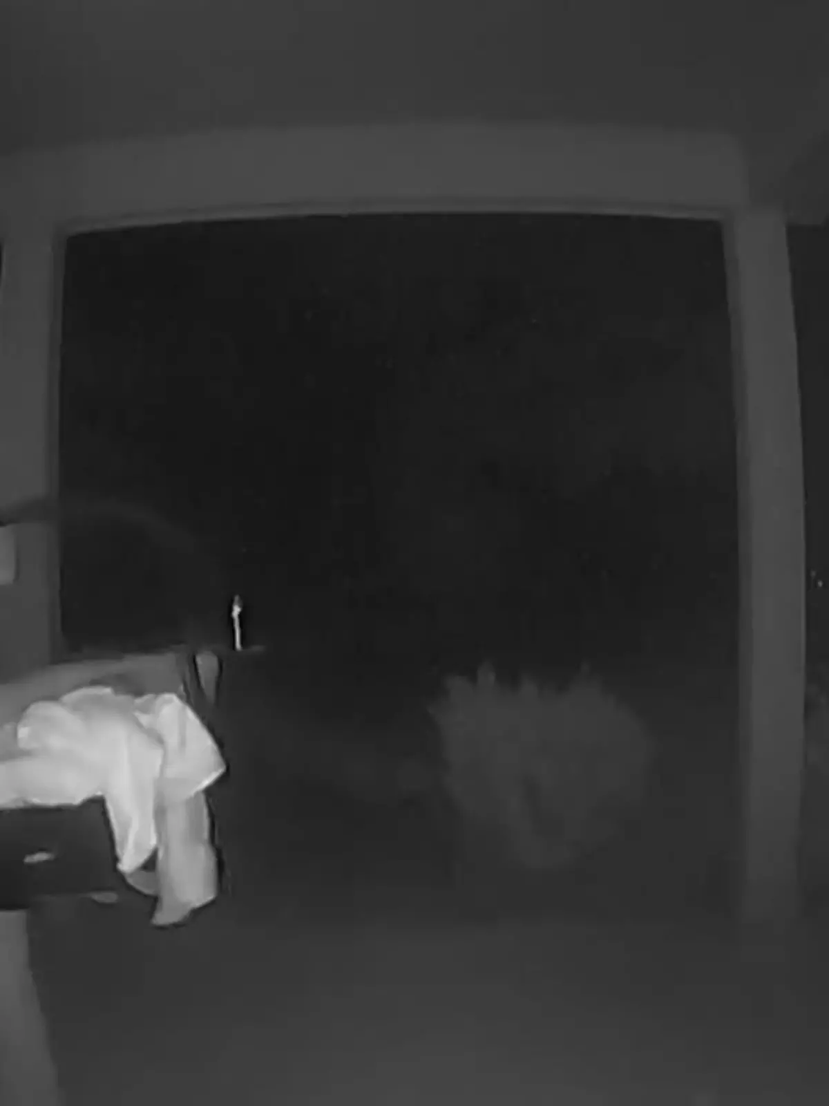 Bild zu: "Mutter setzt krankes Baby aus"