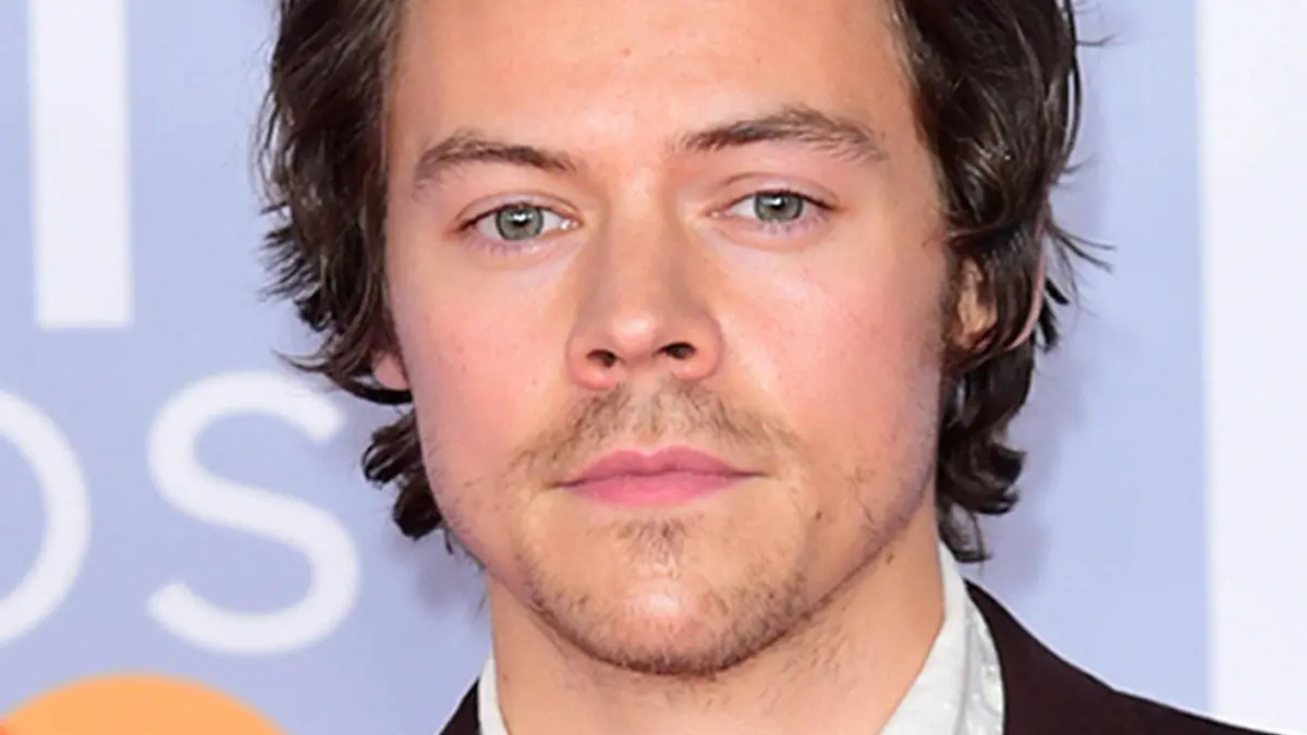 ARCHIV - 18.02.2020, Großbritannien, London: Das Foto zeigt den Sänger Harry Styles. (zu dpa «Brite Harry Styles wirbt für Joe Biden als US-Präsident») Foto: Ian West/PA Wire/dpa +++ dpa-Bildfunk +++