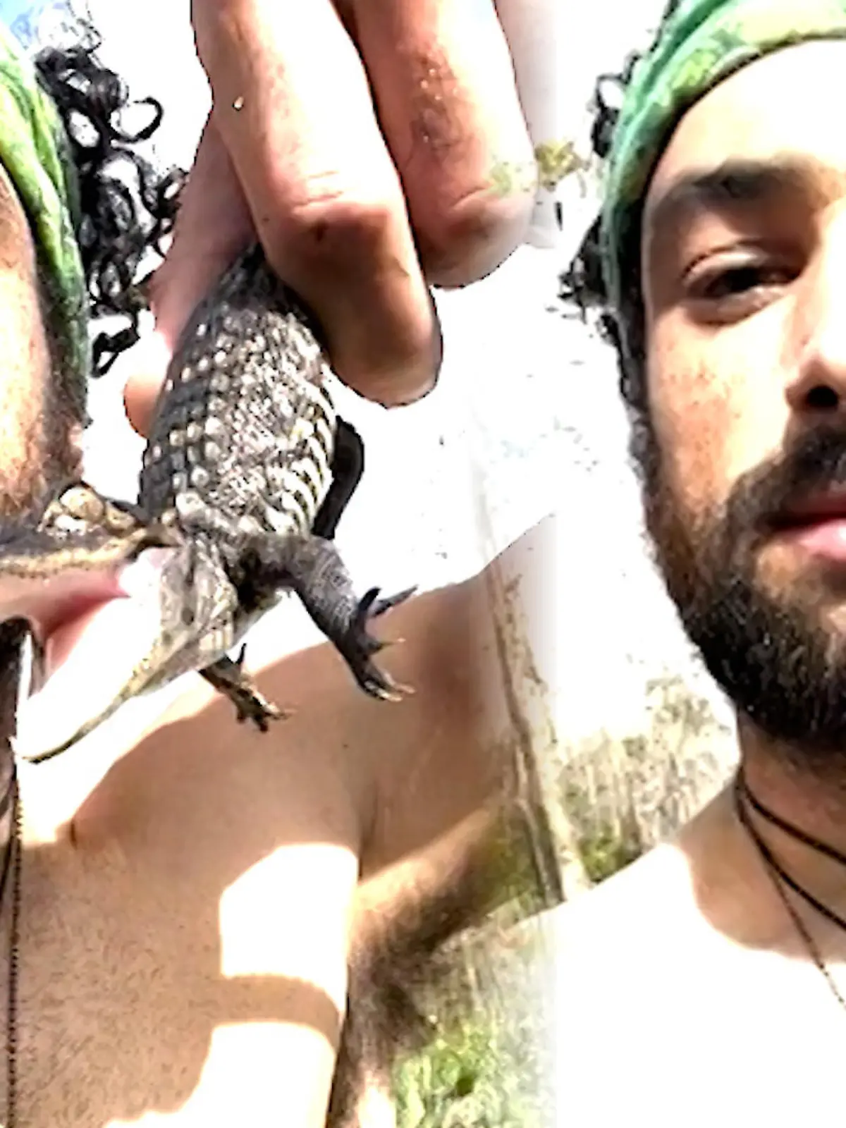 Abenteurer Keenan DeForest Williams macht keine halben Sachen! Für seinen TikTok-Kanal hampelt er mit einem kleinen Baby-Alligator umher und bekommt dafür direkt die Quittung: Das kleine Reptil schnappt zu und verfängt sich in seiner Lippe.