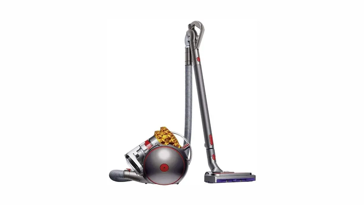 Dyson Big Ball Multifloor 2 Staubsauger im Check