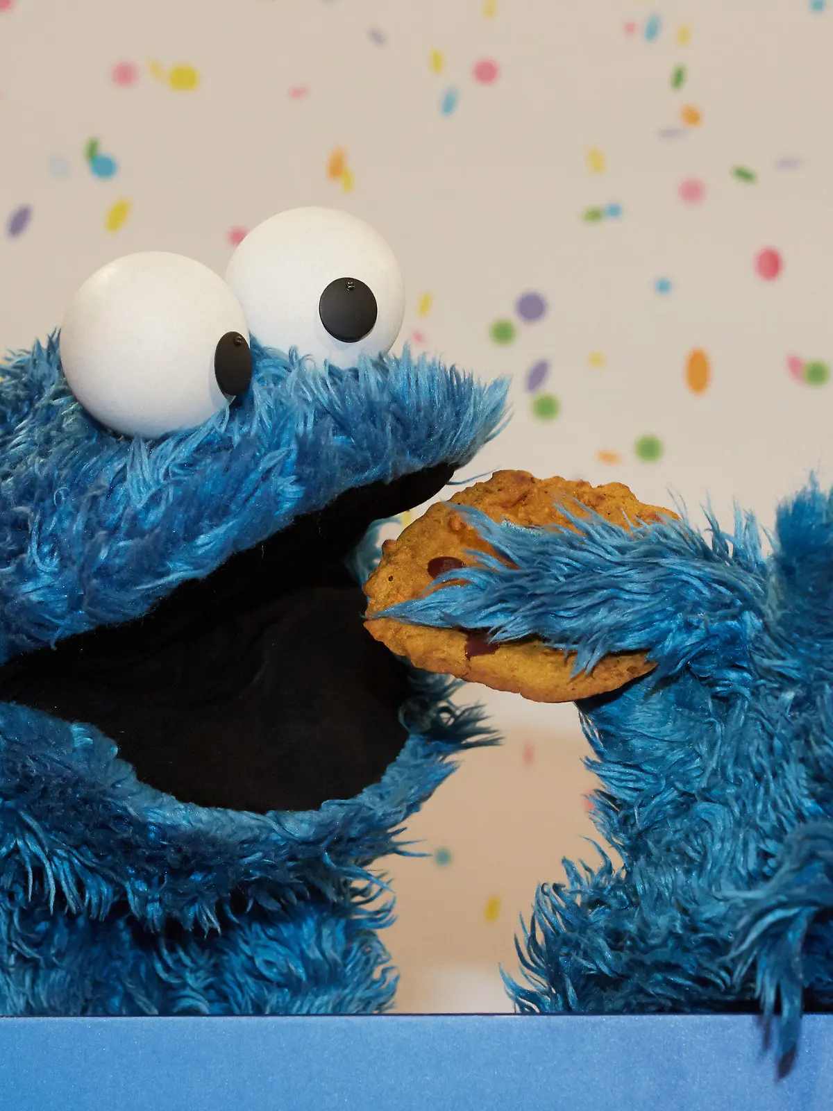 ARCHIV - Krümelmonster Cookie hält am 07.01.2013 in Hamburg bei einem NDR-Pressetermin zu "40 Jahre Sesamstraße" einen Keks. Abwarten und Kekse essen: Was anderes kann der Gebäckhersteller Bahlsen derzeit wohl nicht tun - außer einem Bekennerschreiben gibt es bislang keine Spur vom Dieb eines 20 Kilo schweren vergoldeten Kekses. Beim amerikanischen Twitter-Acount der «Sesamstraße» stellte das «Cookie Monster» bereits am Dienstag klar: «Me no steal the golden cookie. But me willing to help find real cookie thief!» («Ich habe den Keks nicht gestohlen. Aber ich helfe gerne, den richtigen Keksdieb zu finden!». Foto: Georg Wendt/dpa  +++(c) dpa - Bildfunk+++