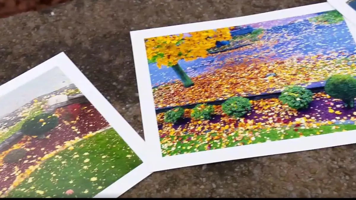 Sonja Luetgens zeigt uns bei unserem Besuch Fotos von Tagen, an denen ihr Garten besonders stark verschmutzt war.