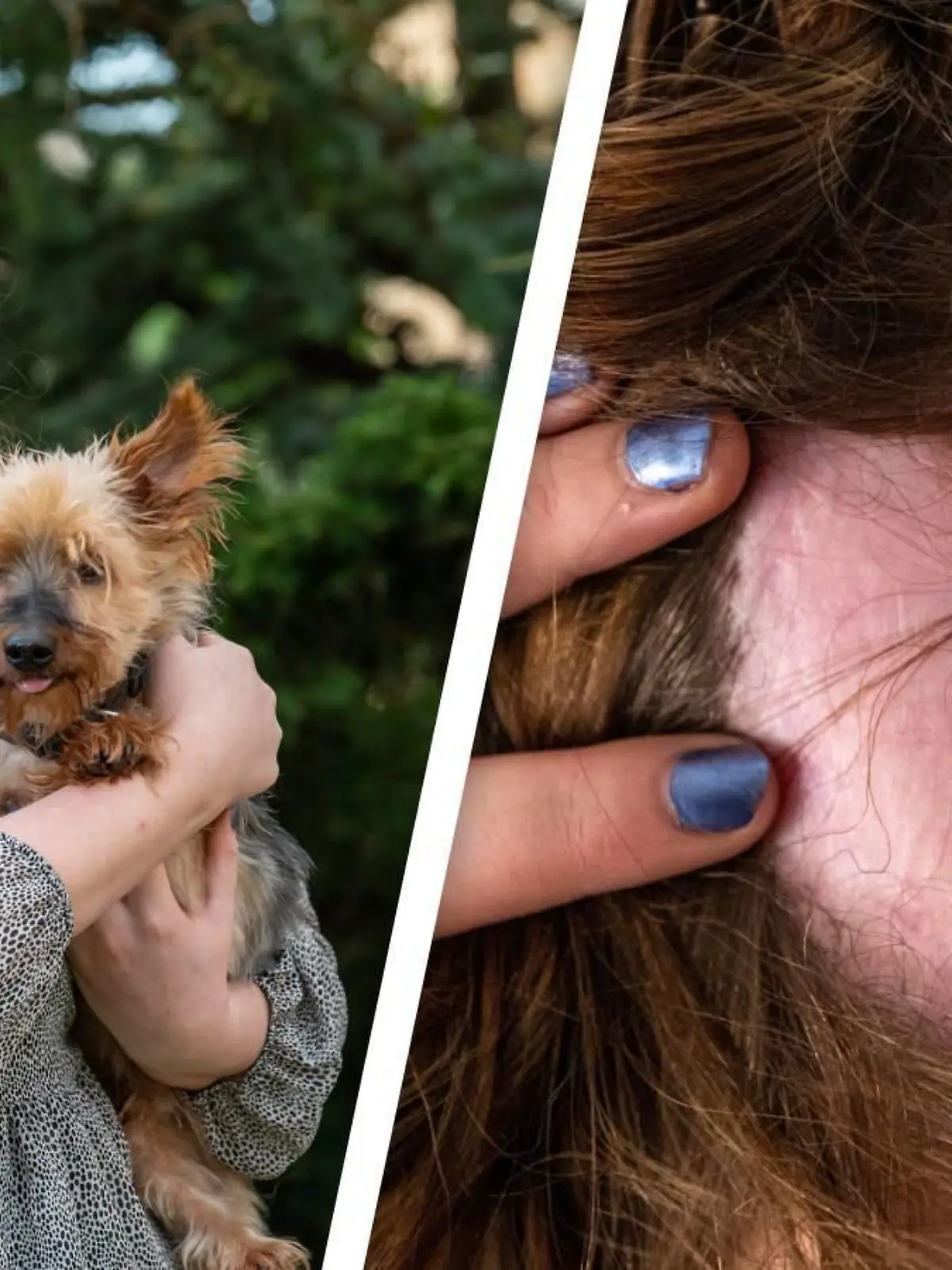 Levi Carter mit Hund Chico und ihren kahlen Stellen