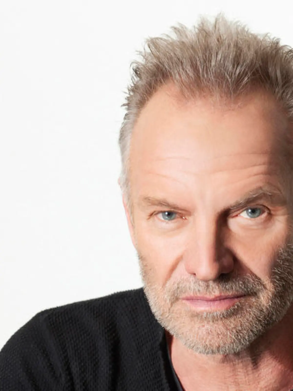 Sting verschiebt Veröffentlichung von Duett-Album