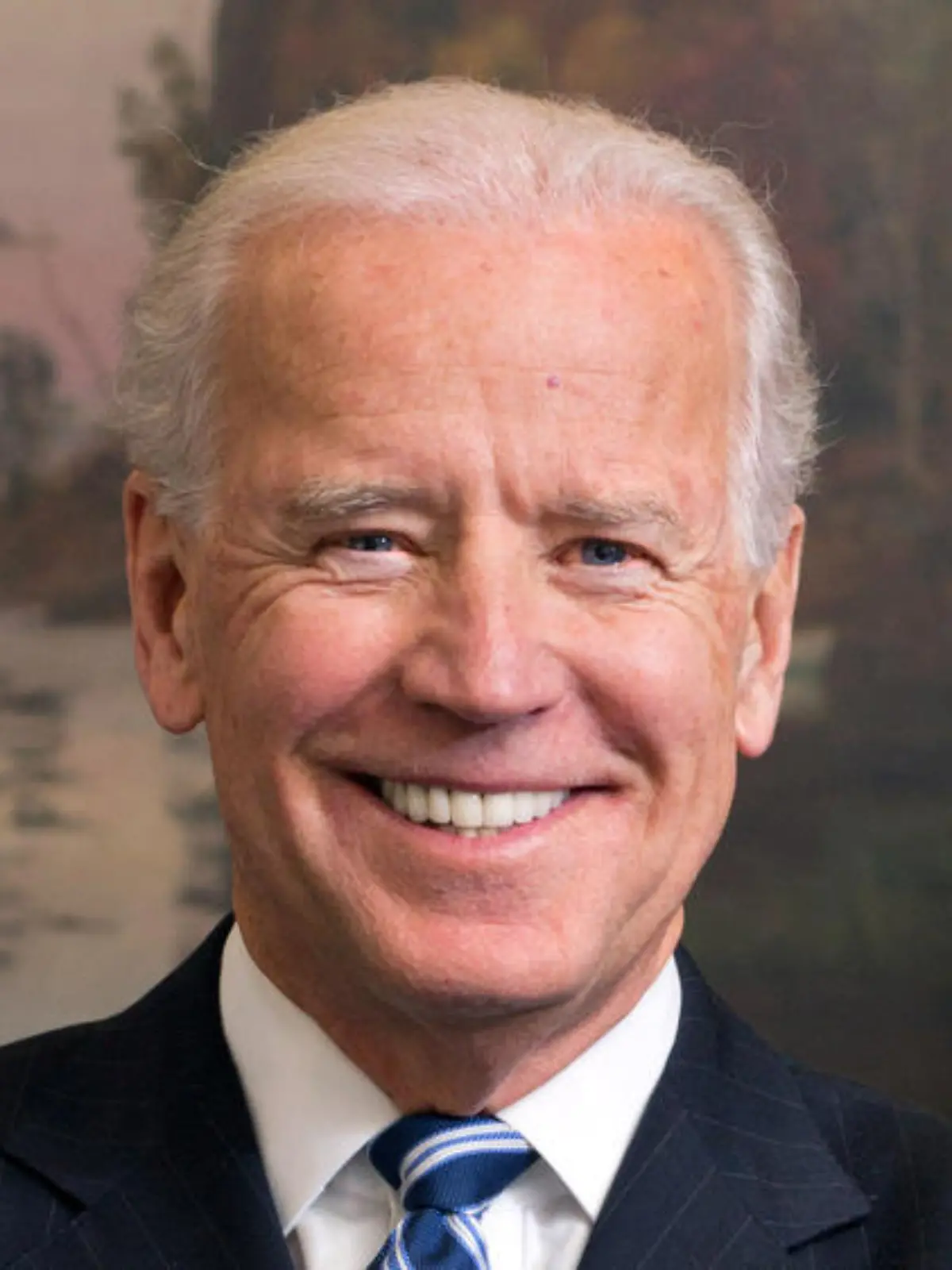 "Weihnachten kam früher": So feiern die US-Promis Joe Bidens Wahlsieg