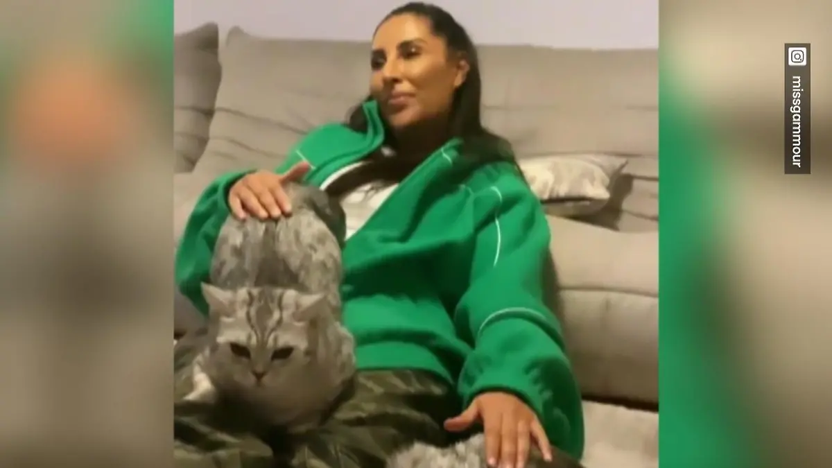 Insta-Follower bodyshamen Sennas Katzen! "Fett"? Wie bitte?