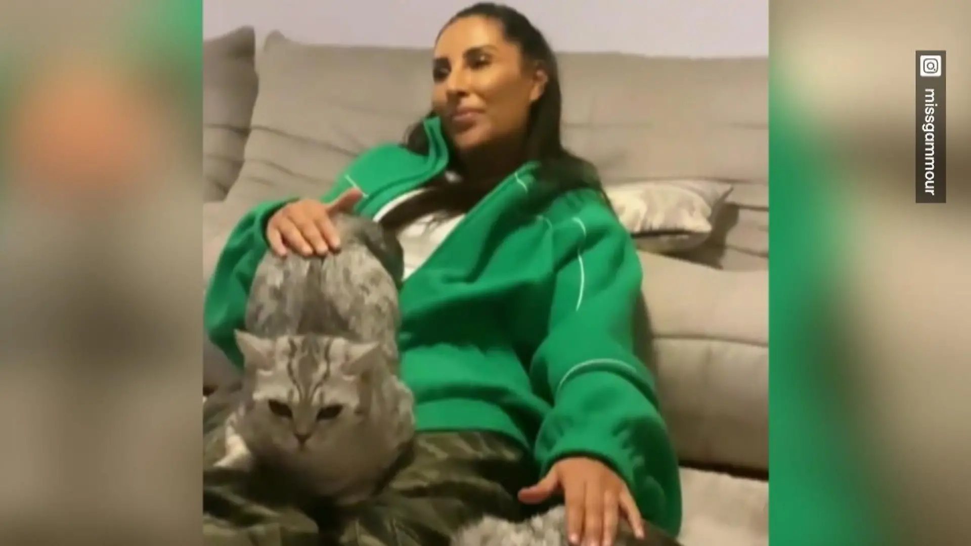 Insta-Follower bodyshamen Sennas Katzen! "Fett"? Wie bitte?