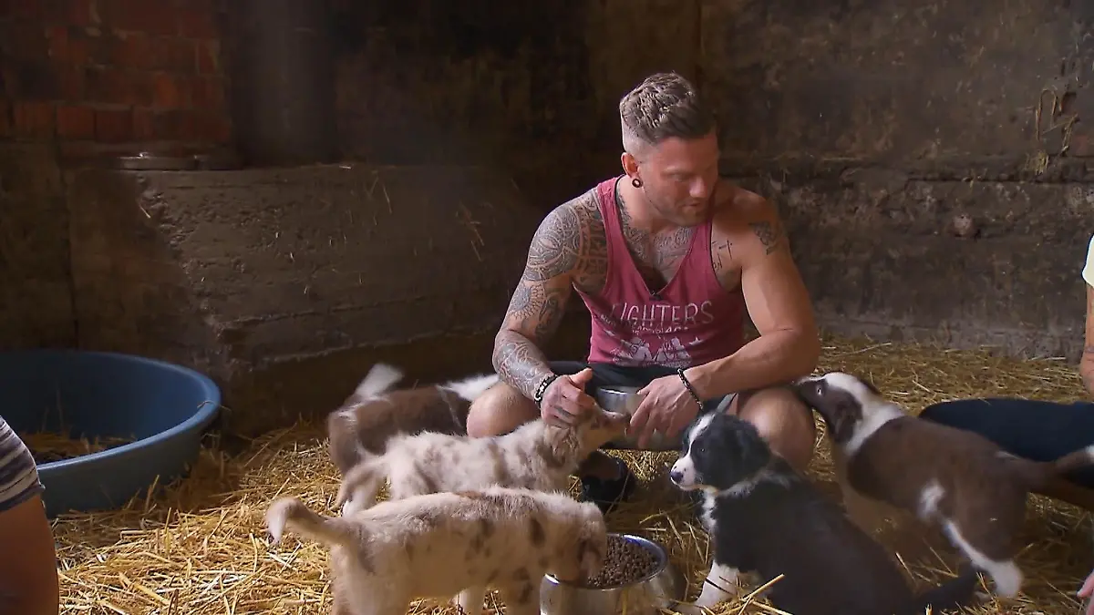 Denise will wissen: Wie tierlieb ist Till? Welpen-Test bei "Bauer sucht Frau"