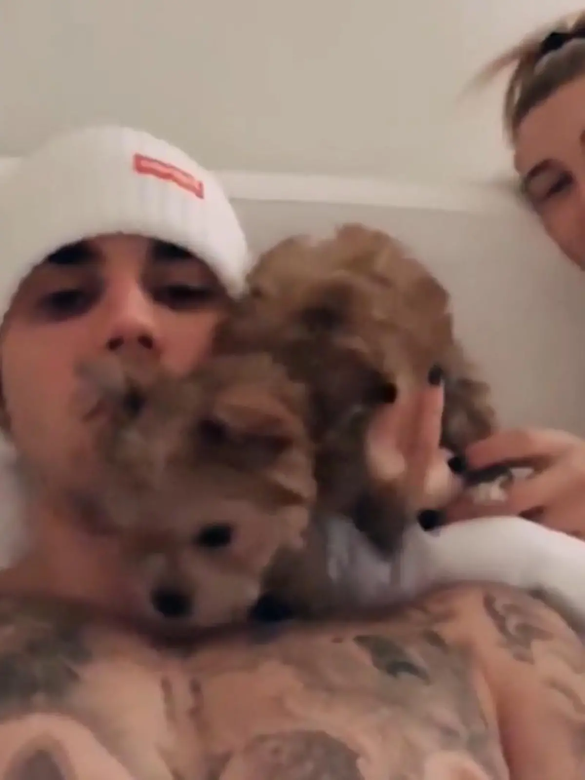 Bild zu: "Gibt es einen Justin-Bieber-Haustier-Fluch?"