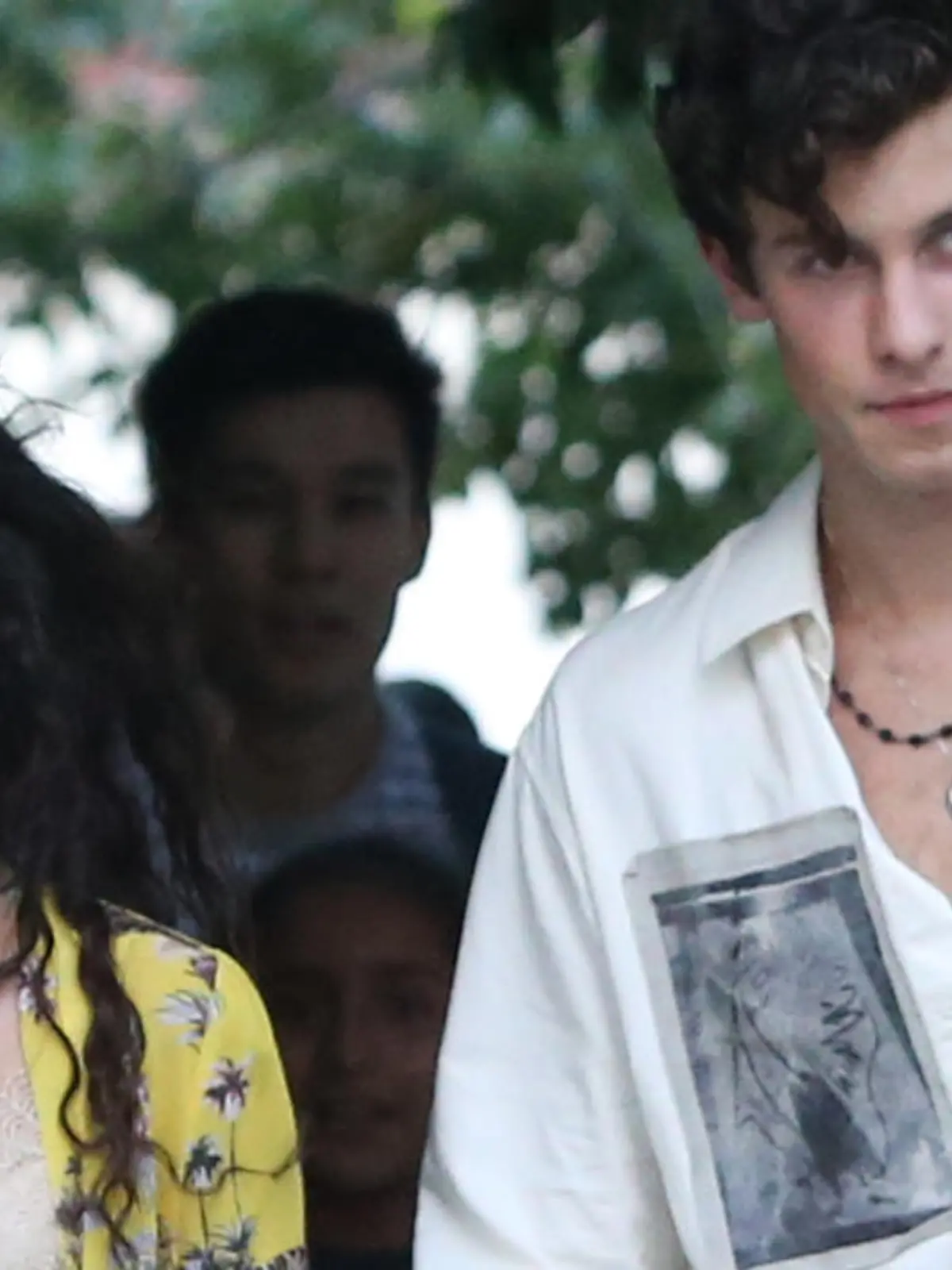 Bild zu: "Nachwuchs für Shawn Mendes und Camila Cabello"