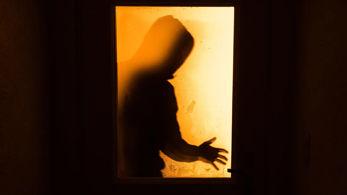 ARCHIV - ILLUSTRATION - 19.01.2016, Bayern, Aufseß: Der Schatten eines Mannes hinter einer gläsernen Wohnungstür. (zu dpa-Medien-Info - Zeitung: Zahl der Straftaten in NRW erneut rückläufig vom 08.09.2018) Foto: Nicolas Armer/dpa +++ dpa-Bildfunk +++