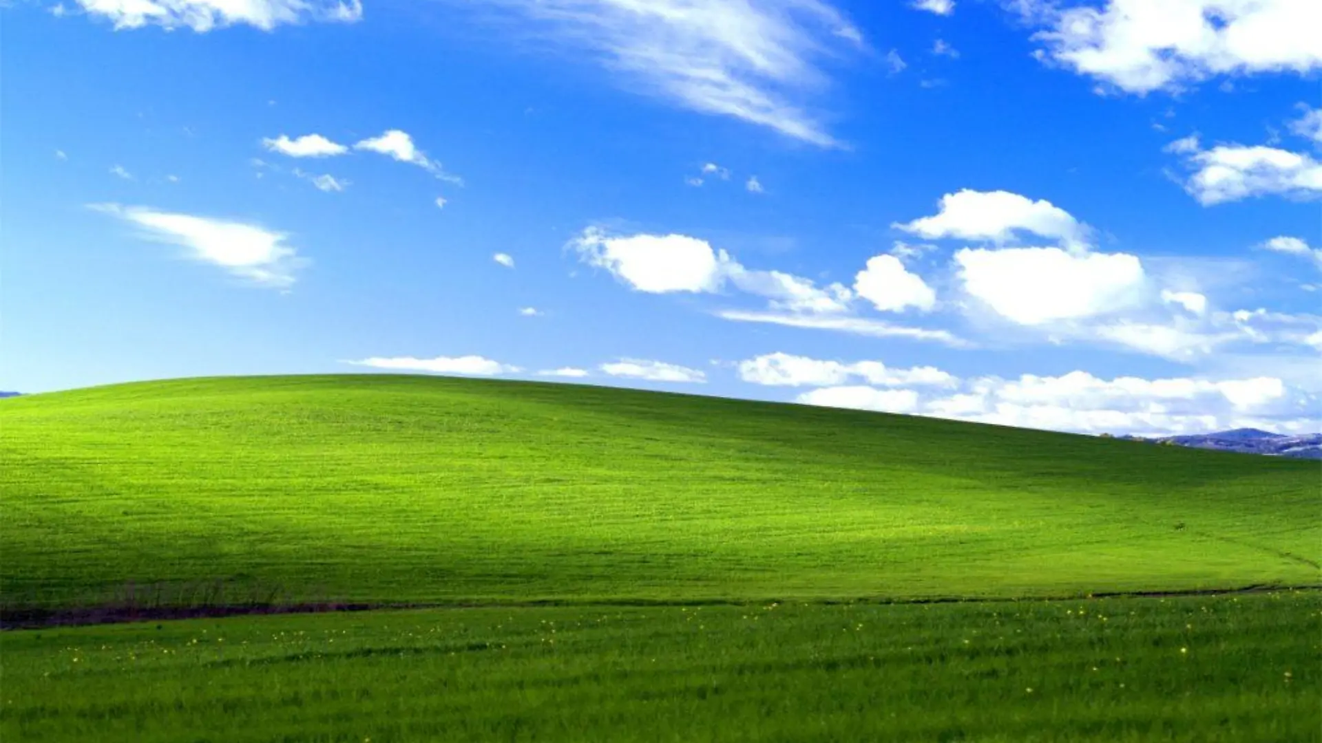 Windows XP Hintergrundbild