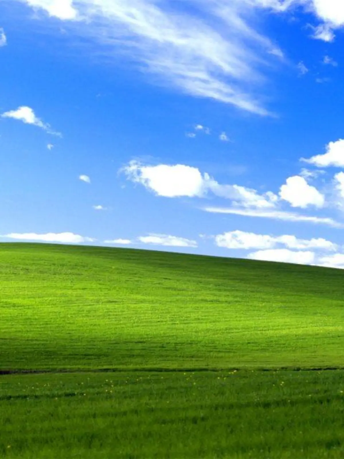 Windows XP Hintergrundbild