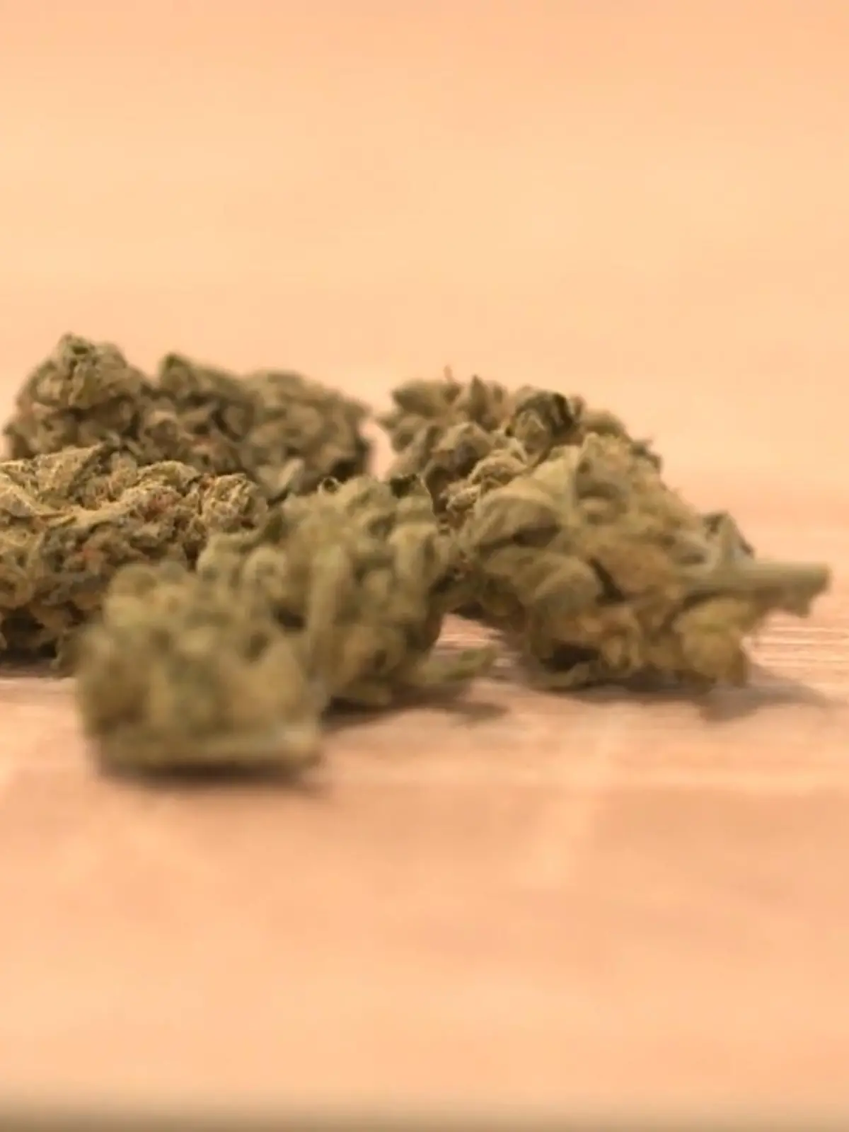 Bild zu: "Plan für Legalisierung"