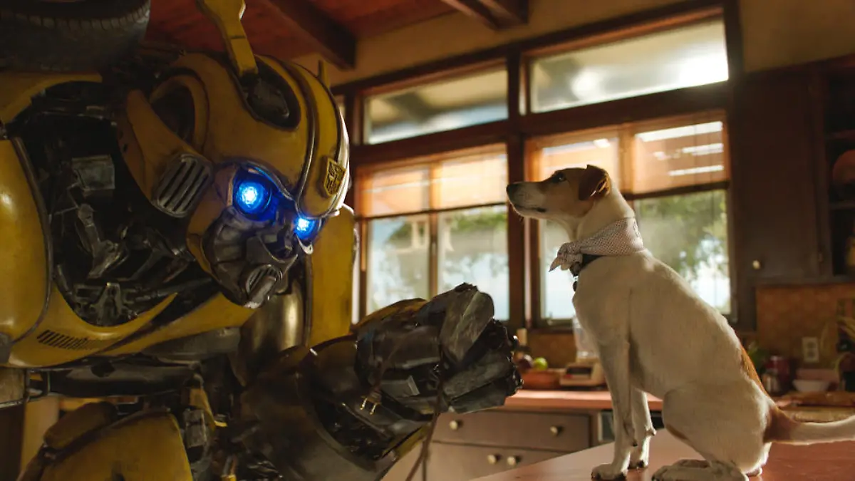Wird es weitere "Transformers"-Filme geben?