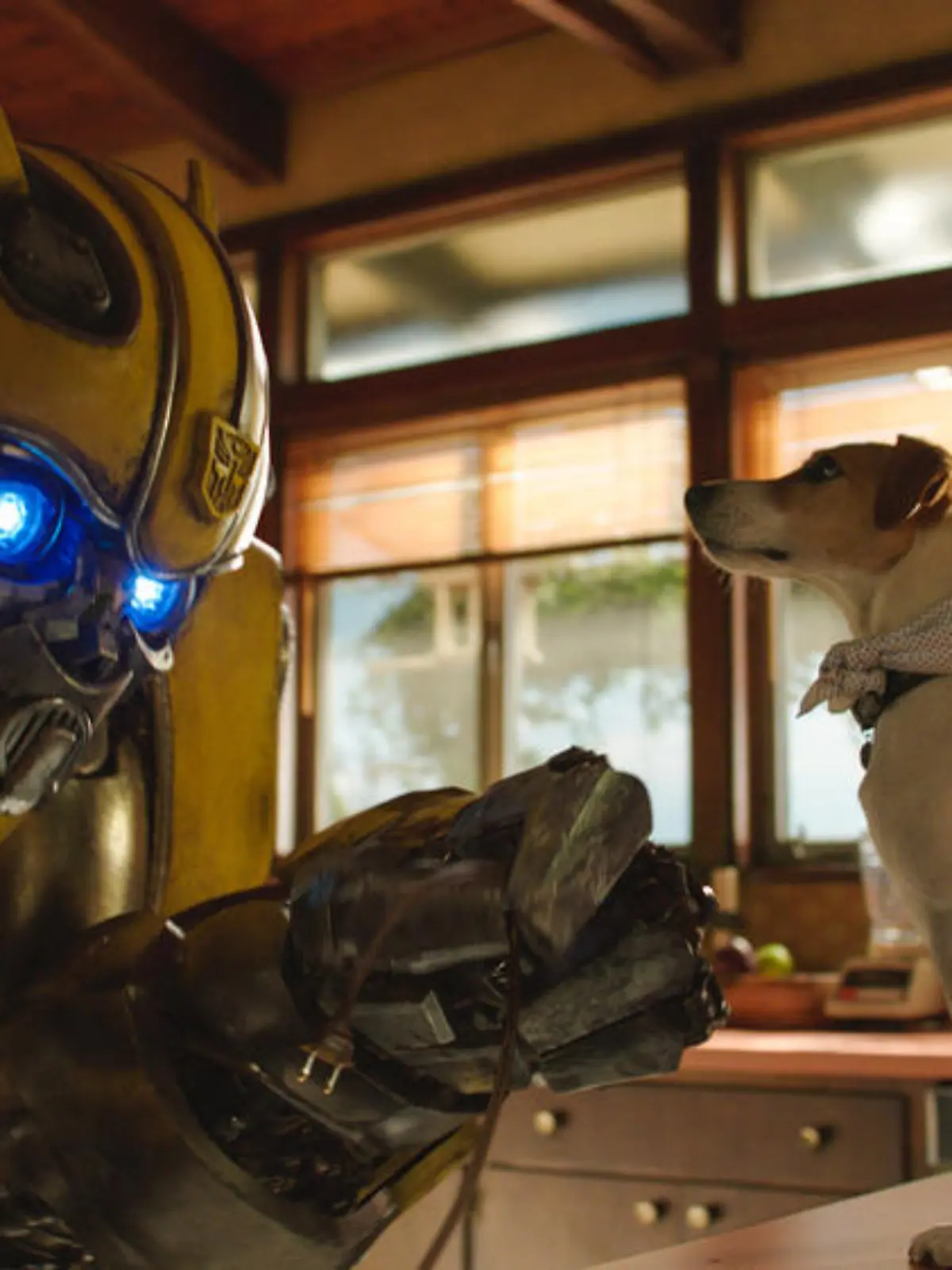Wird es weitere "Transformers"-Filme geben?