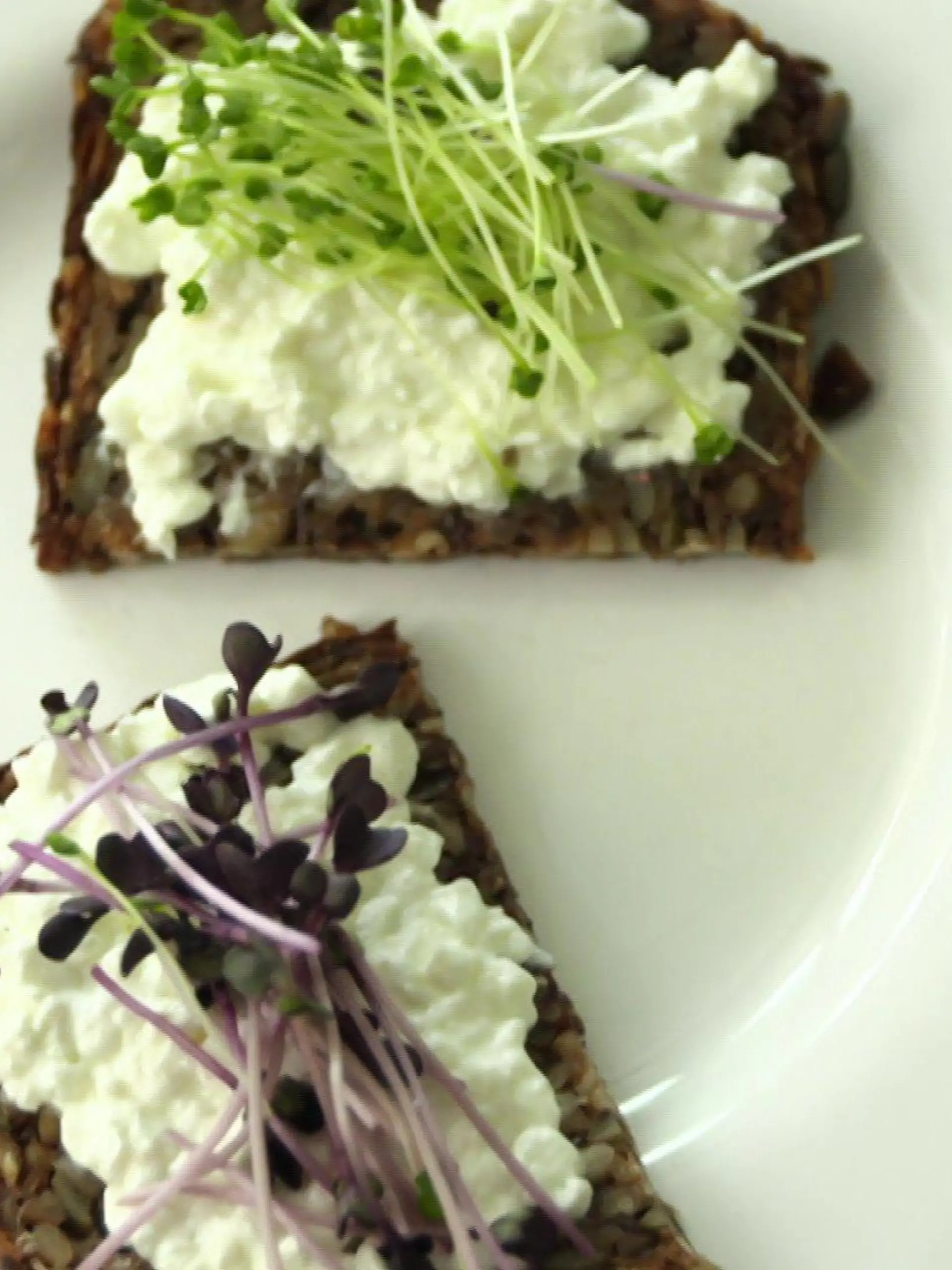 Bild zu: "Microgreens-Zucht auf der Fensterbank"