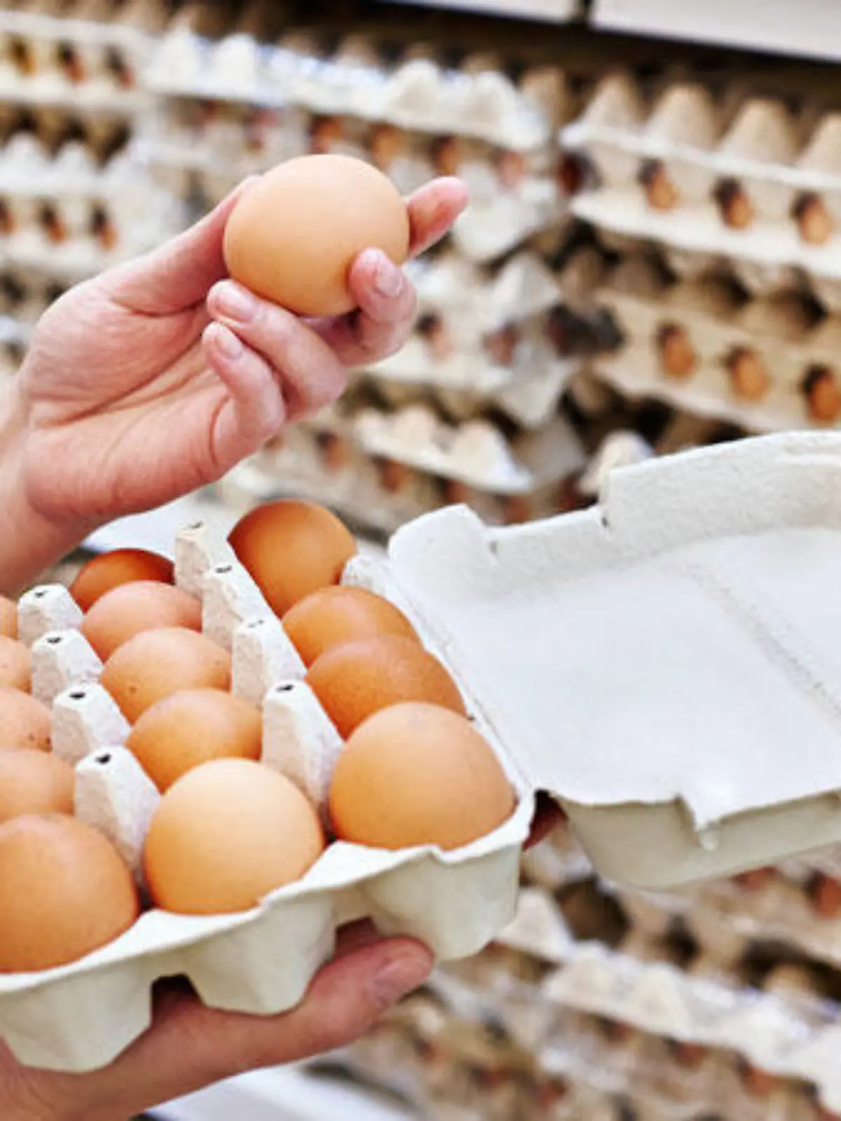 Ist Ihnen schon einmal aufgefallen, dass die Eier im Supermarkt nie im Kühlregal liegen? Dabei werden Sie zu Hause, als wäre es das Selbstverständlichste der Welt, sofort in den Kühlschrank gepackt. Warum ist das so?