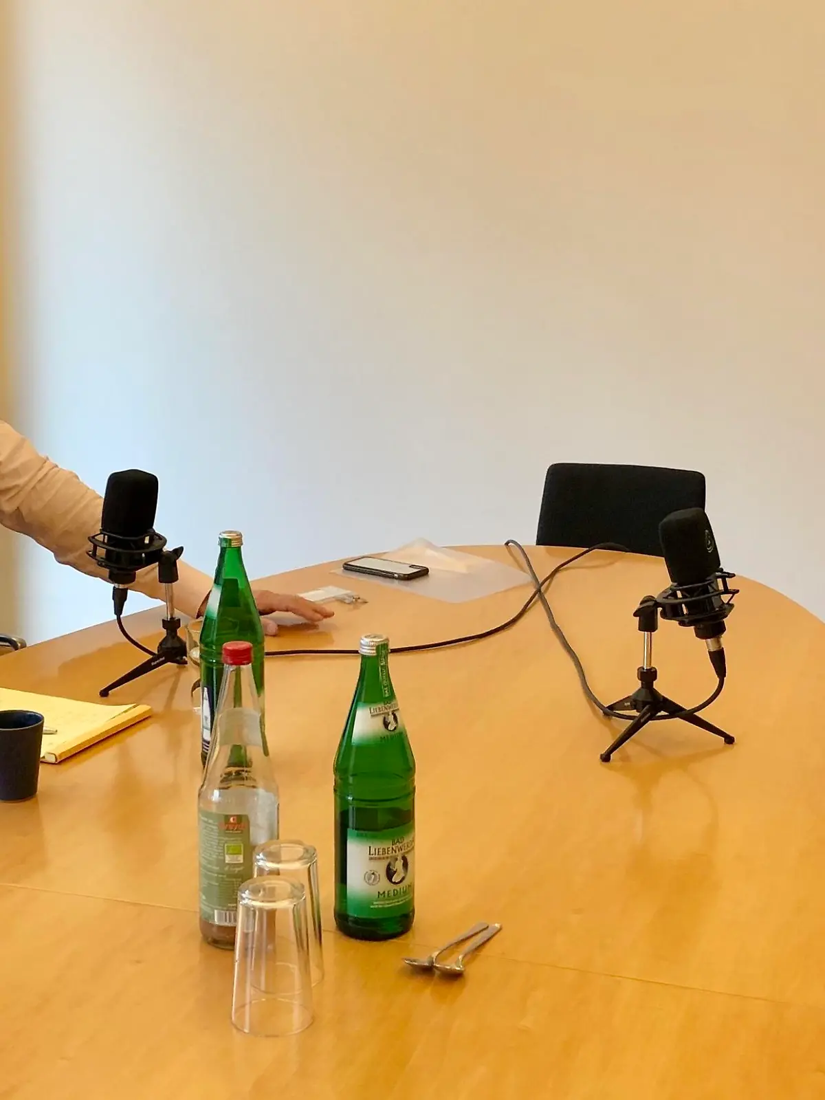 Ulrich Wickert trifft Annalena Baerbock