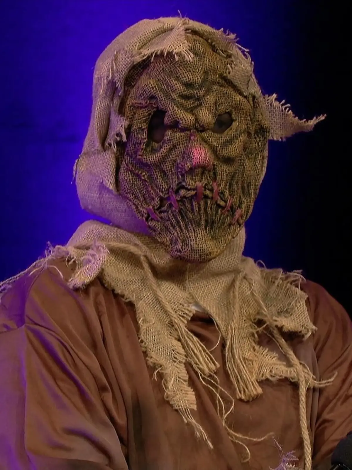 Bild zu: "Wer ist der Star unter der Vogelscheuche-Maskerade?"