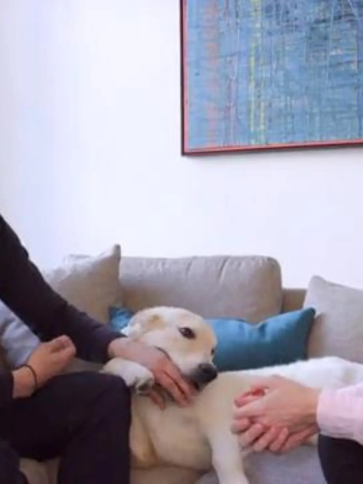 Professor Hendrik Streeck empfängt RTL-Reporterin Liv von Boetticher daheim in Bonn. Der Virologe, sein Hund und die ganze Homestory aus dem RTL-Magazin "Extra" - hier im Video.