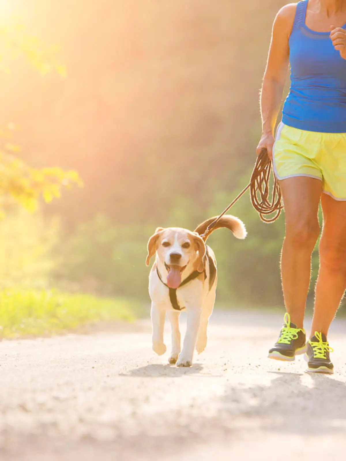Active seniors running with their dog outside in green nature