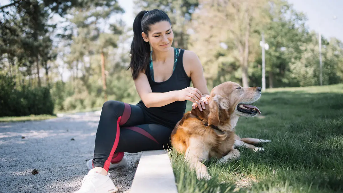 Beautiful woman sitting on ground in park with dog. Smiling girl petting dog which is lying on ground with grass in city park.