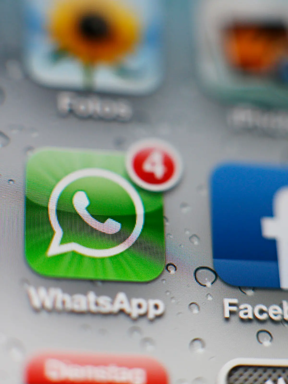 Creative / Feature: WhatsApp-Icon auf einem iPhone