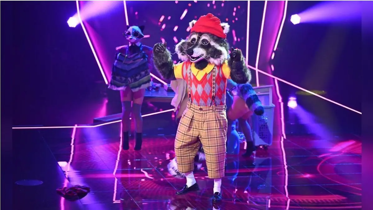 Der Waschbär musste sich schon in der zweiten Folge von "The Masked Singer" aus der Show verabschieden. -