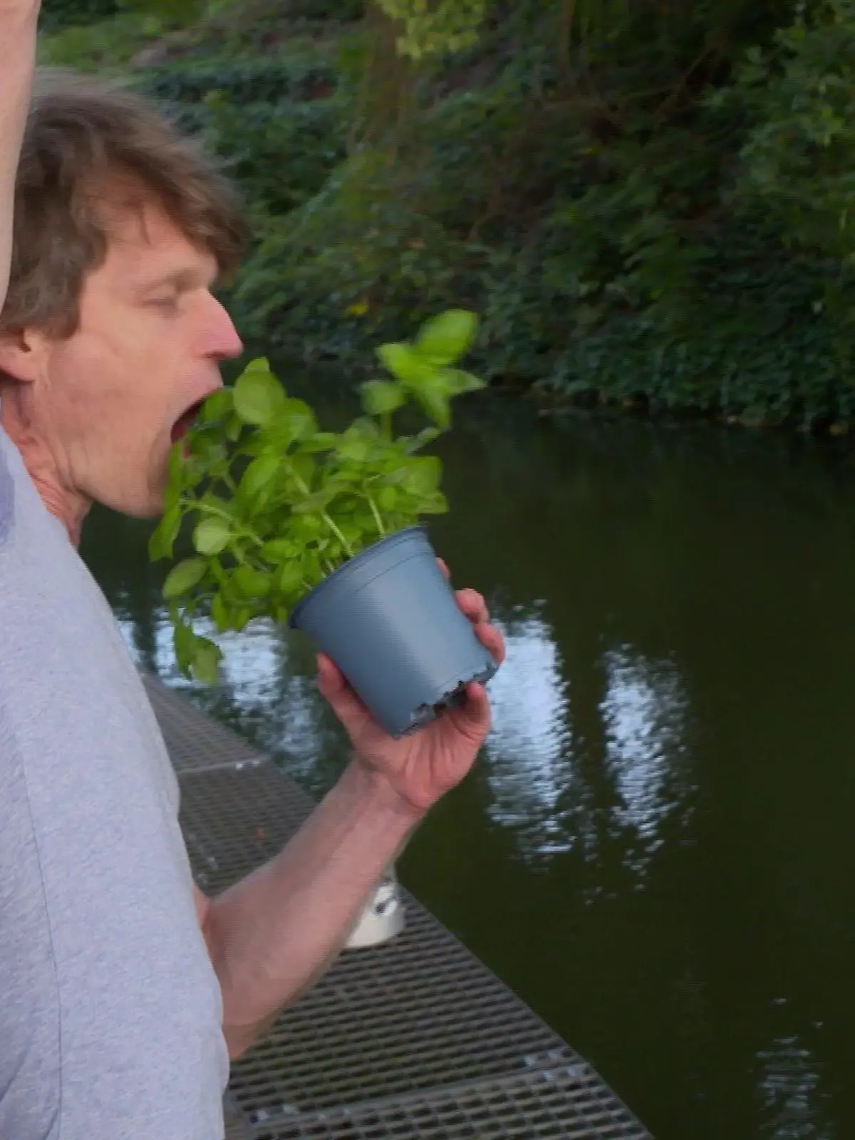 Bremer Altersforscher Sven Voelpel isst Basilikum während er an einem Baum hängt