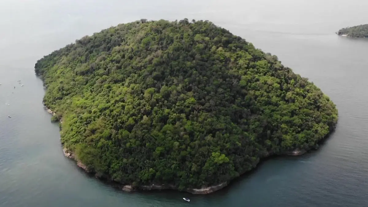 Eine Insel bewachsen mit Bäumen, rings herum das Meer.