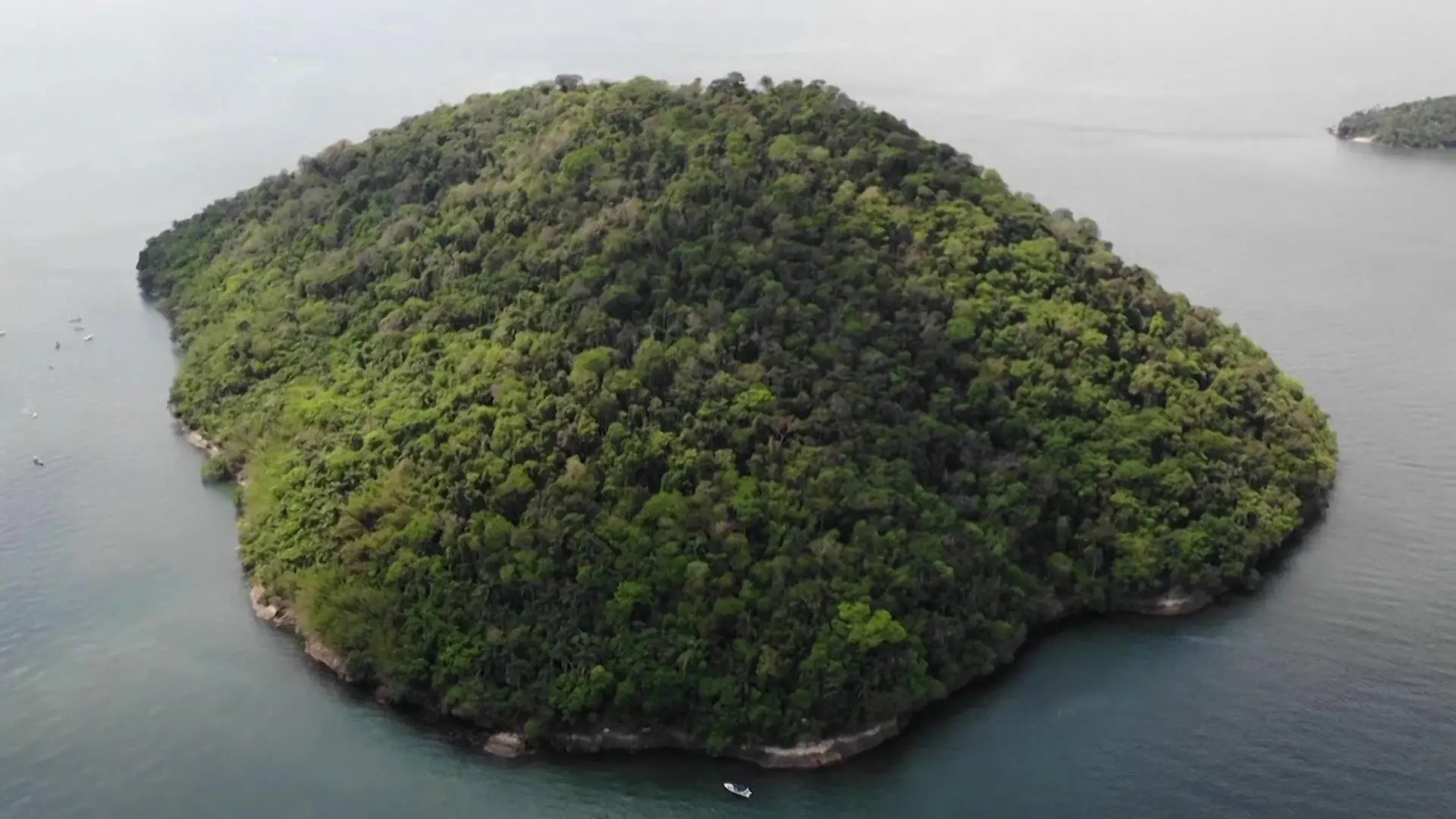 Eine Insel bewachsen mit Bäumen, rings herum das Meer.