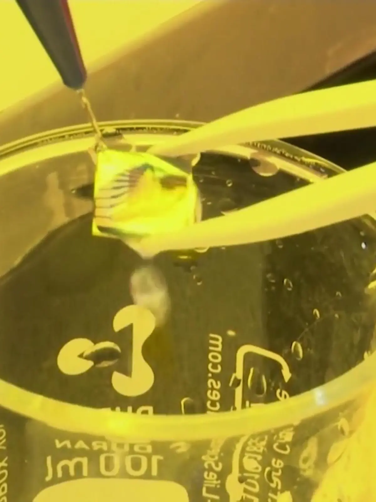 Bild zu: "Mikrochip erkennt Corona in 3 Minuten"