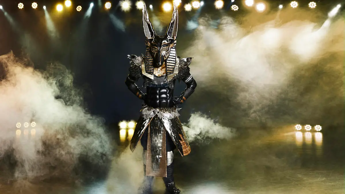 "The Masked Singer": Das sind alle zehn Kostüme