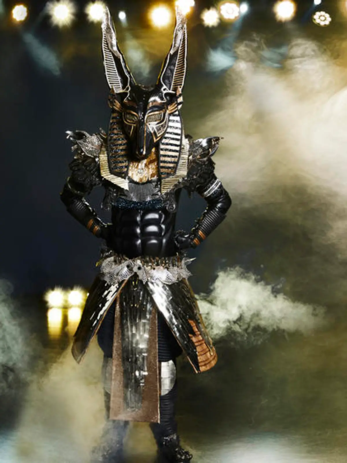 "The Masked Singer": Das sind alle zehn Kostüme