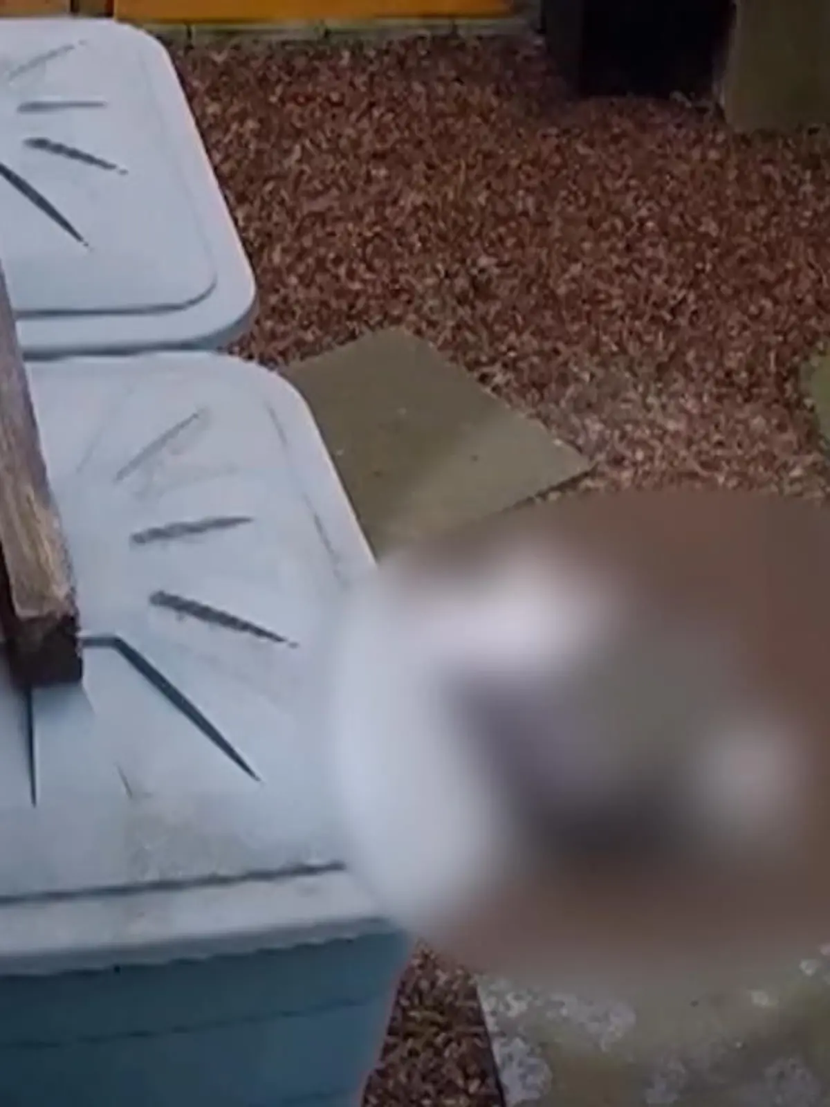Andrea und Peter werden angeblich seit Jahren schikaniert - vom eigenen Nachbarn. Welche dreisten Gemeinheiten dieser sich schon ausgedacht hat und wieso der Konflikt überhaupt aufkam, erfahren Sie in unserem Video.