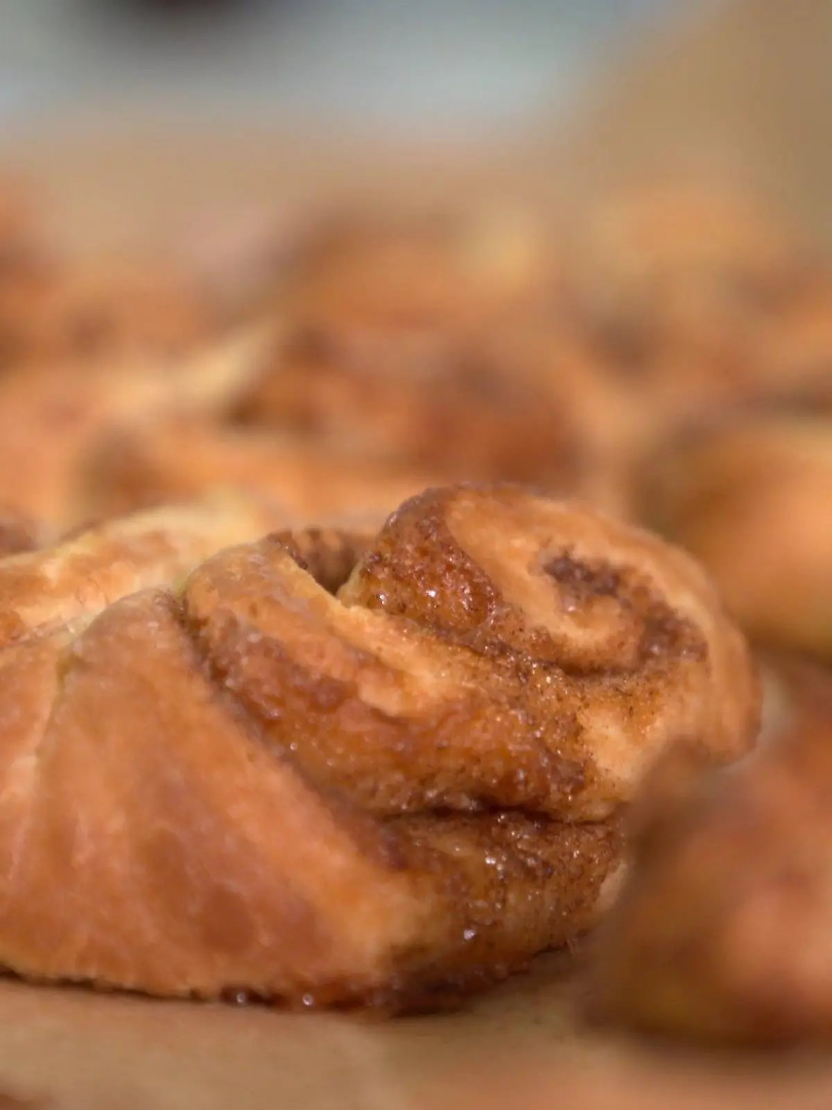 Frisch gebackene Franzbrötchen