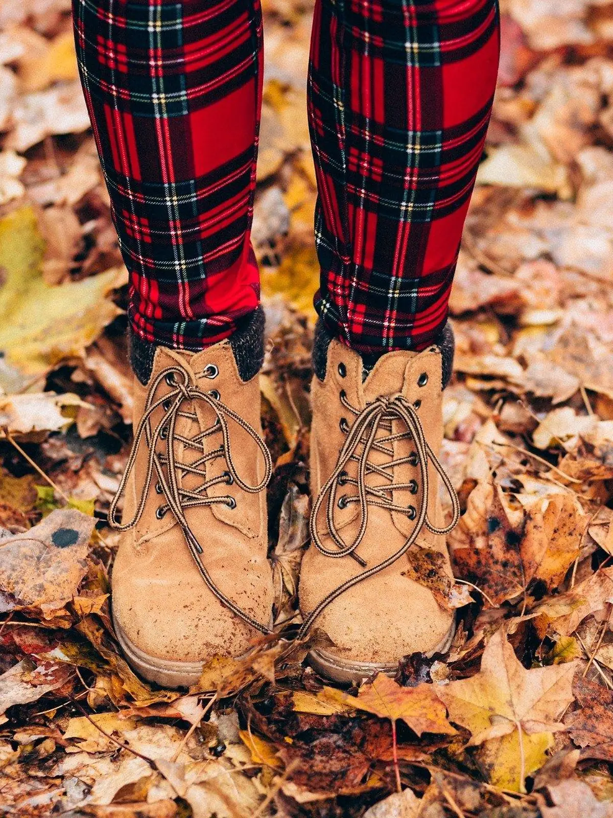 Spaziergang im Herbst