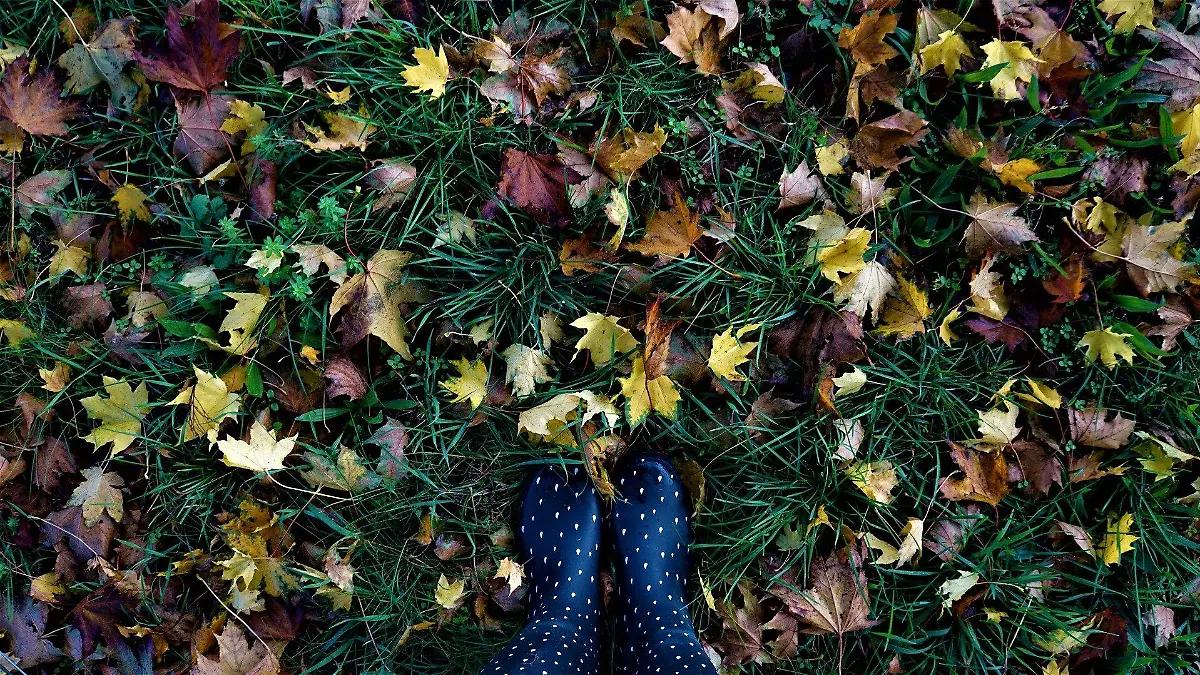 Spaziergang im Herbst