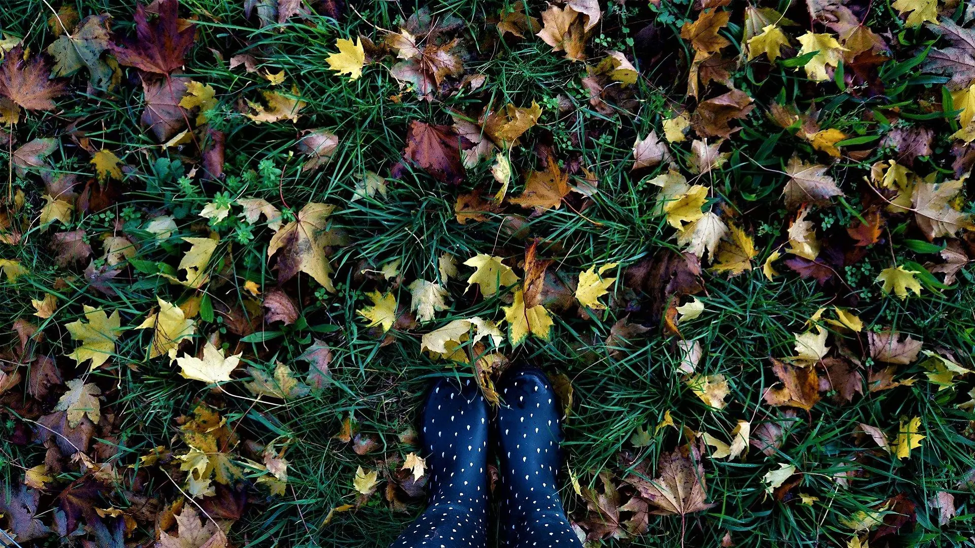 Spaziergang im Herbst